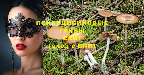 гашиш Богданович
