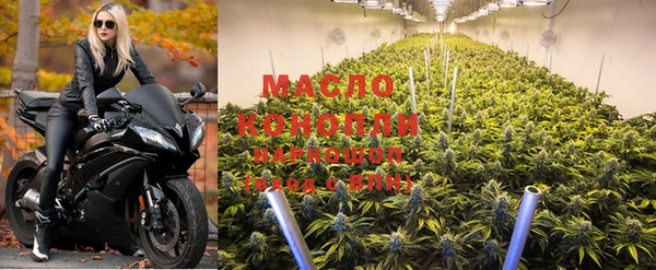 гашиш Богданович