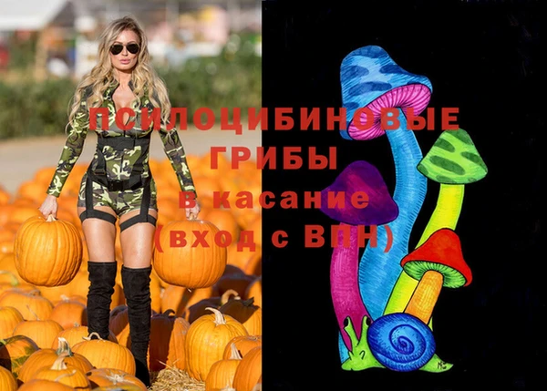 амфетамин Богородицк