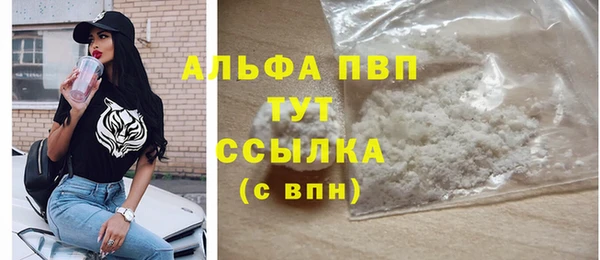 гашиш Богданович
