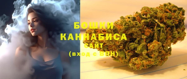 гашиш Богданович