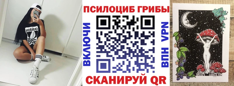 Псилоцибиновые грибы MAGIC MUSHROOMS  цены наркотик  Гудермес 
