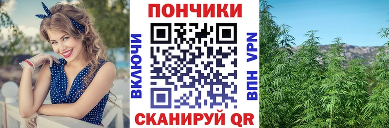 Шишки марихуана план  дарк нет Telegram  Гудермес  OMG ONION 